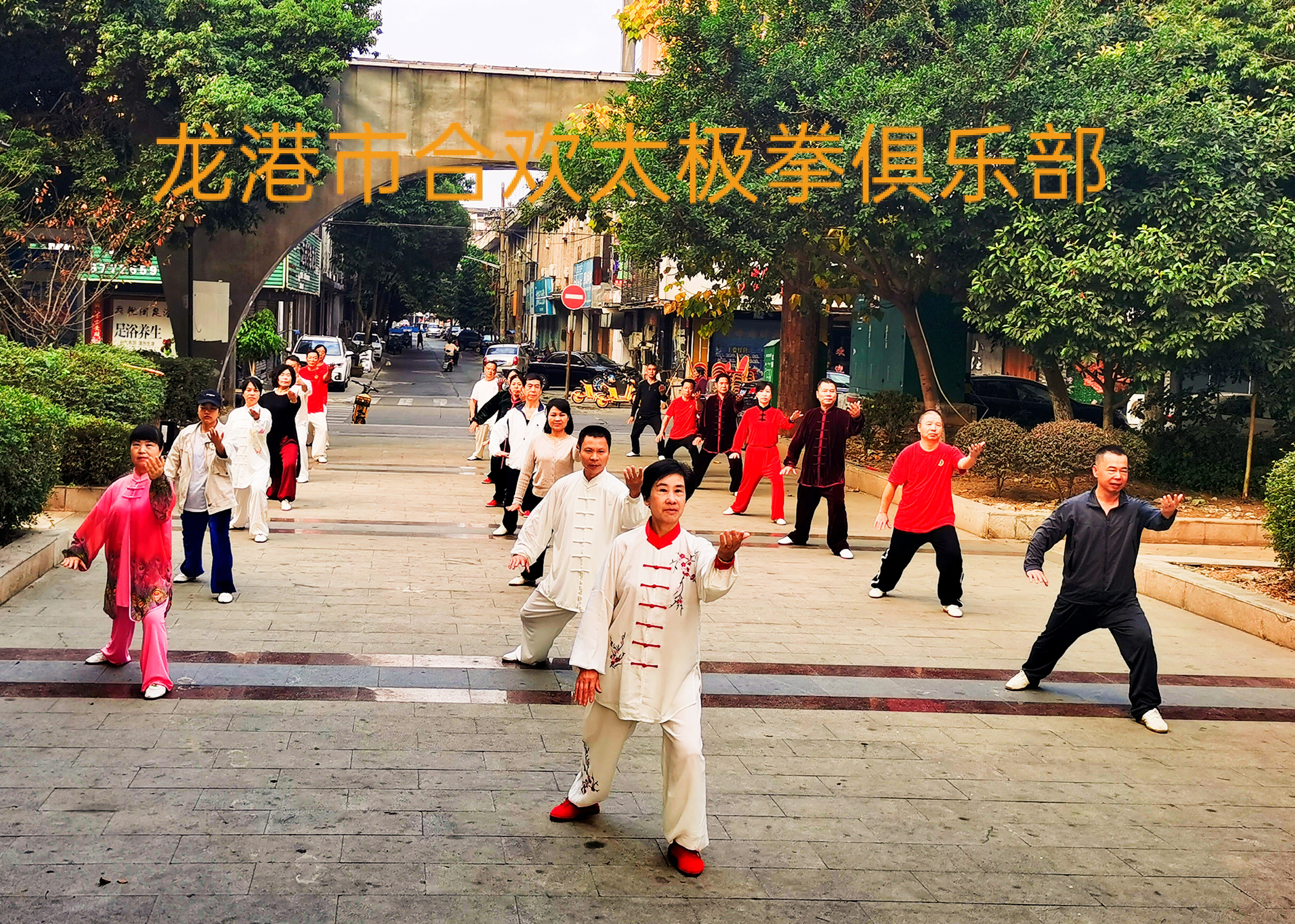 龙港市合欢太极拳俱乐部.jpg