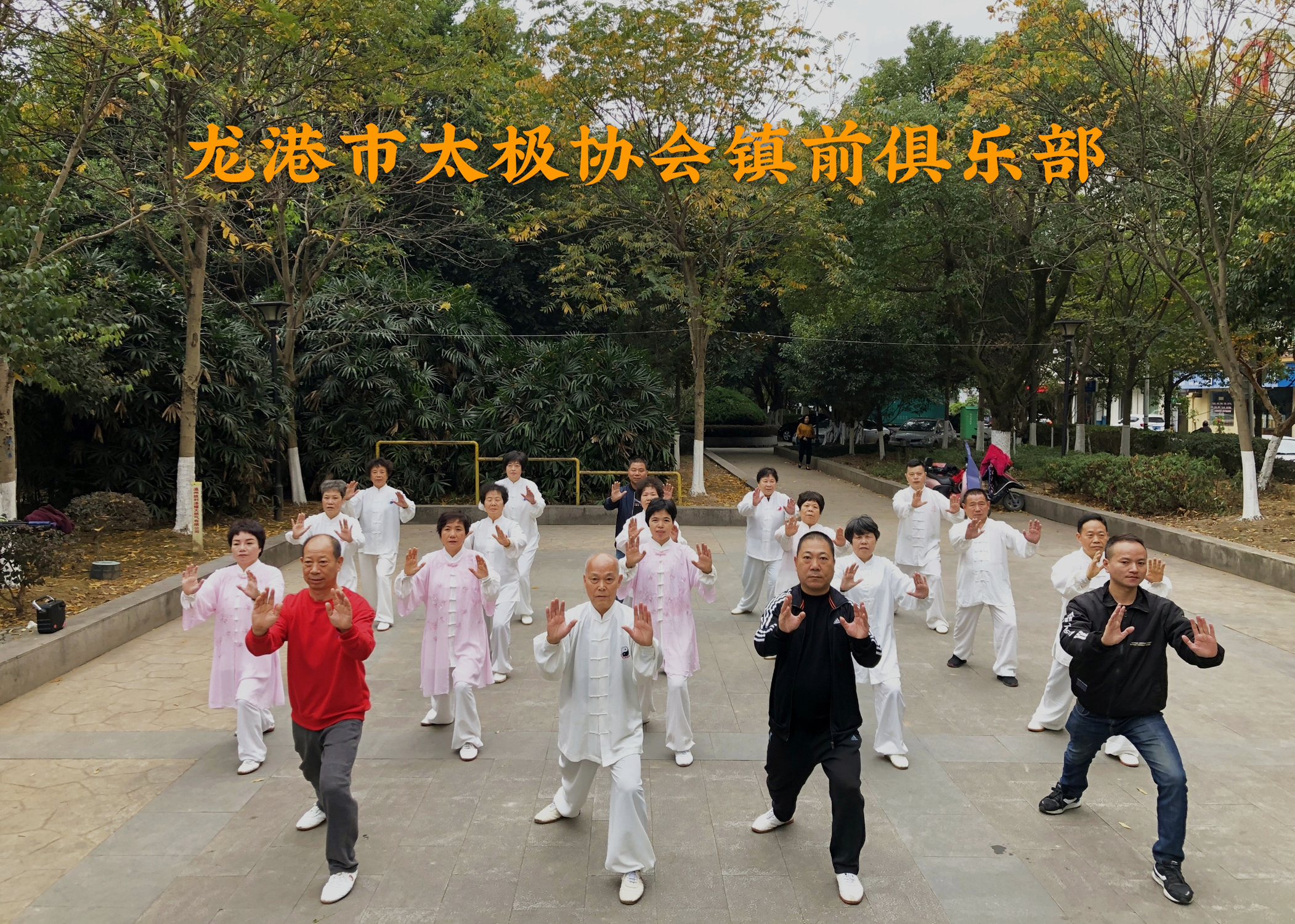 龙港市太极协会镇前俱乐部.jpg