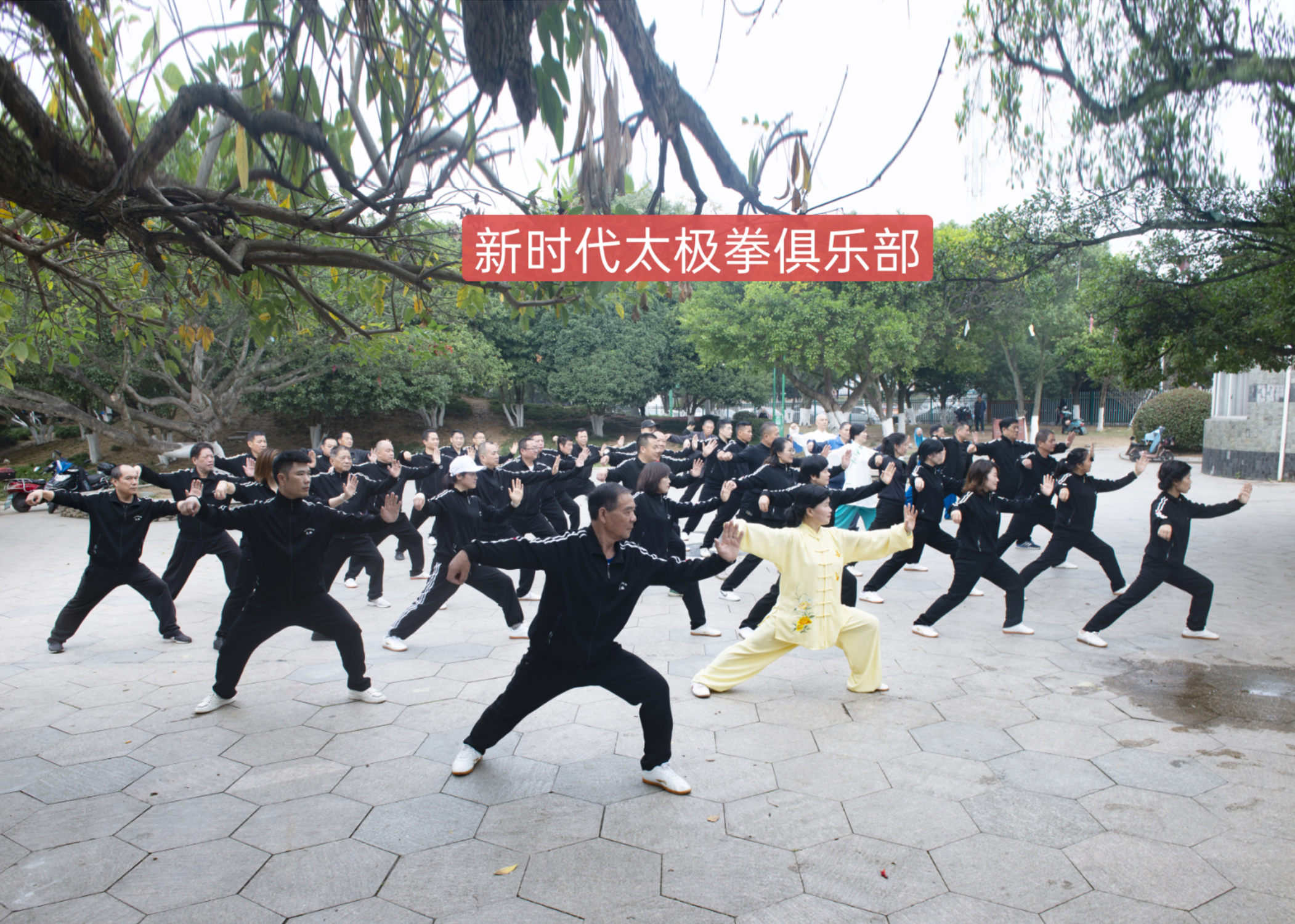 新时代太极拳俱乐部.jpg